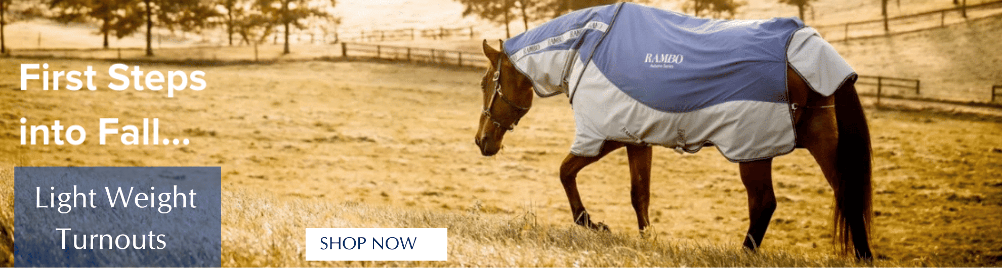 Transition into Fall in a Light Weight Turnout