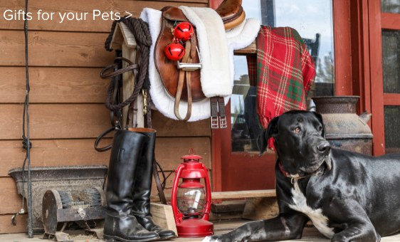 Gifts for your Dog
