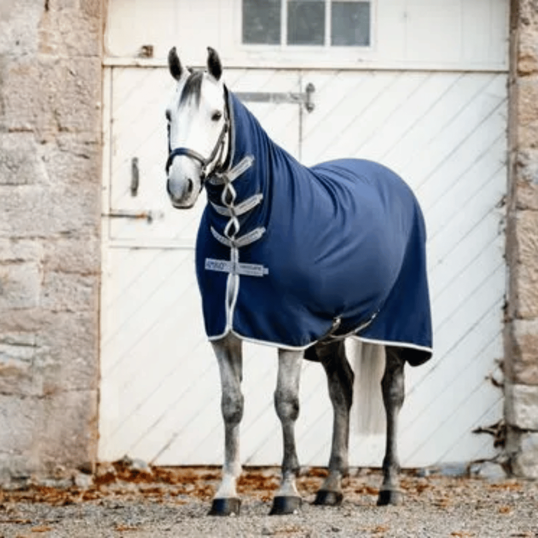 Amigo Horse Clothing